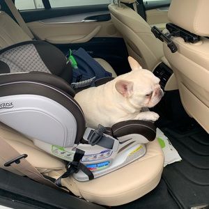 Meet your Posher, Dani